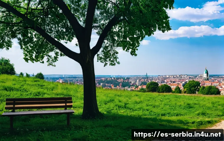 세르비아 내 사건사고 관련 이미지 1