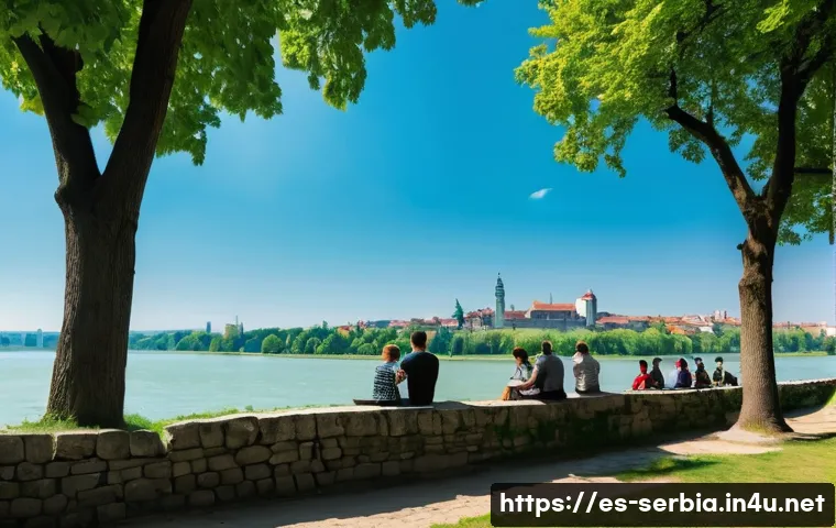 세르비아 내 사건사고 관련 이미지 2