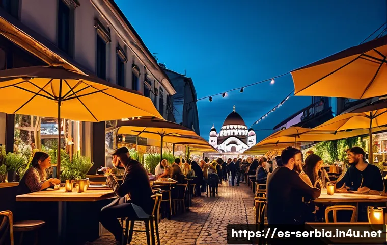 세르비아에서 숙박 추천 지역 관련 이미지 2